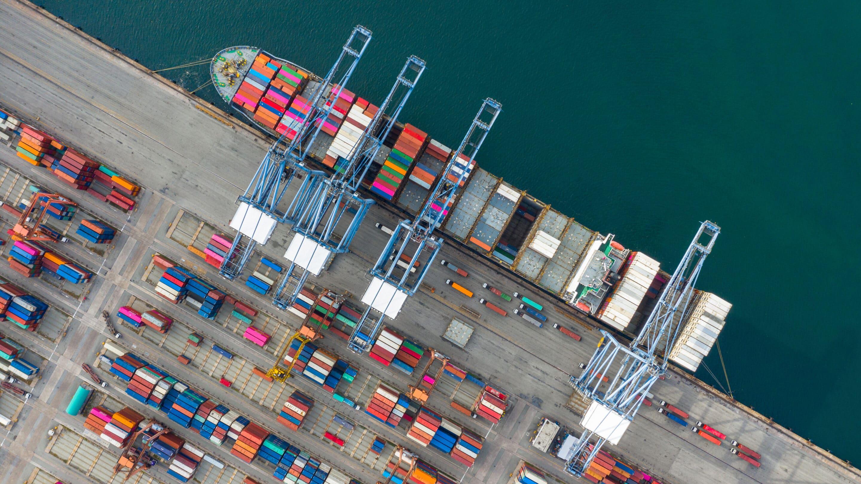 Freight Forwarding Software for Import Operations 3 NVOCC Software