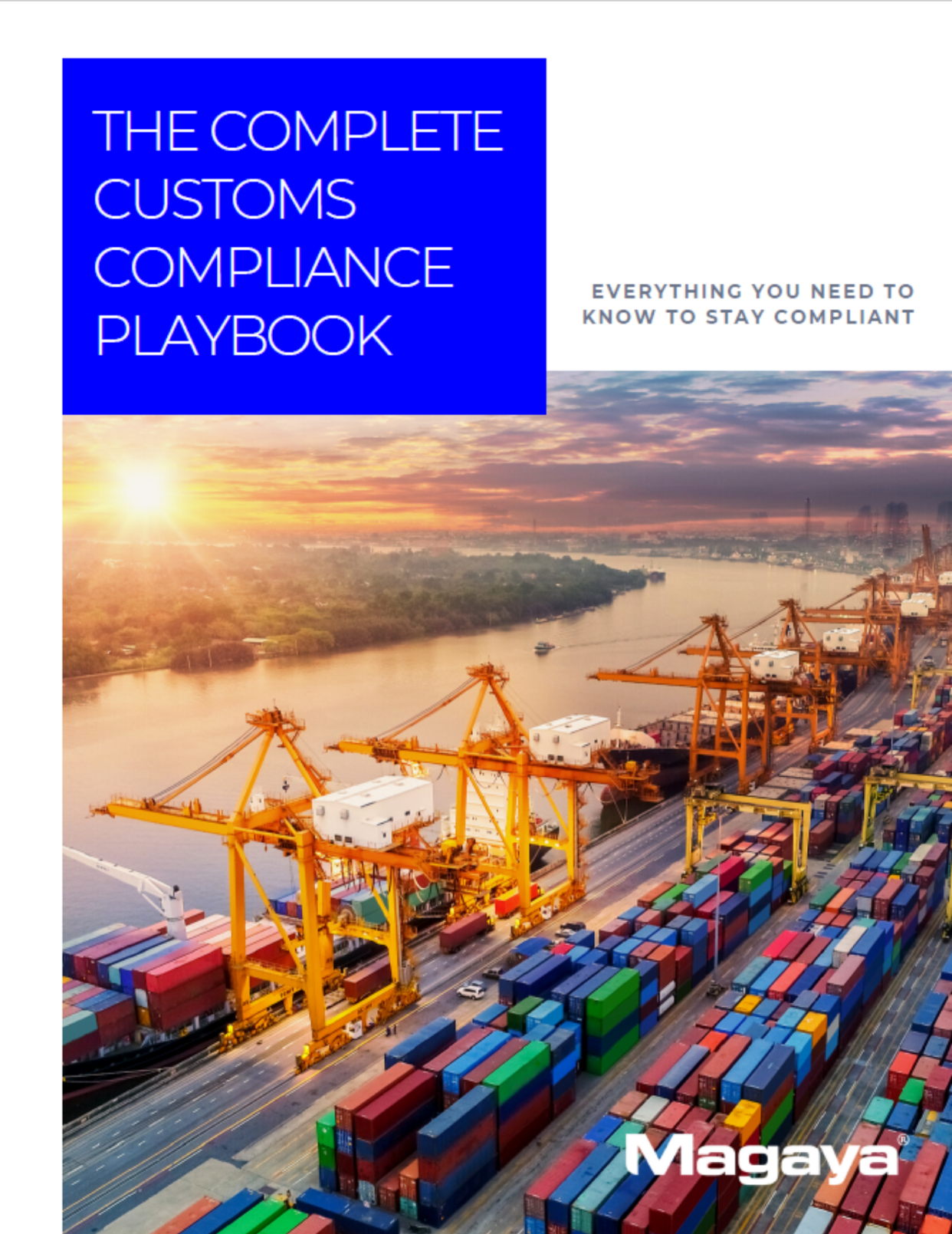 Freight Forwarding Software for Import Operations 6 The Complete Customs Compliance Playbook